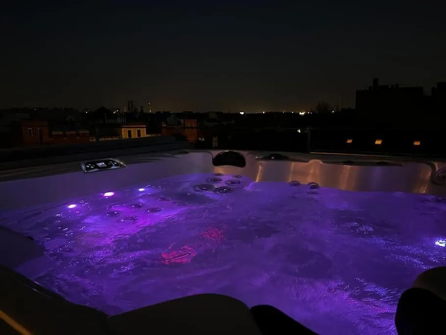 Stylish Apartment With Shared Rooftop Terrace/Jacuzzi Budapest Hungary